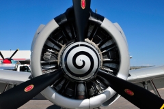 _JL47799