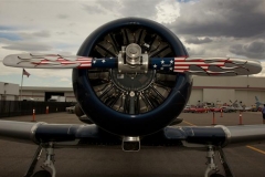 MAC2011_28
