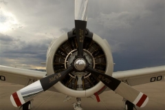 MAC2011_29