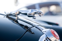 Concours d' Elegance 2012 www.afinephotographer.com
