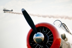 Concours d' Elegance 2012 www.afinephotographer.com