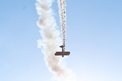 Concours d' Elegance 2012 www.afinephotographer.com