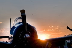 Concours d' Elegance 2012 www.afinephotographer.com