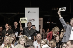 N1_-_20160827-JMF_4990