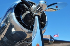 BUFFIES_BEST_Morgan2018-14