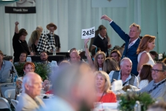 2019-morgan-adams-concours-delegance-357