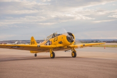 7E3A3882
