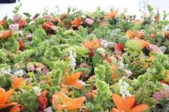 20250823-JMF_1024-Medium