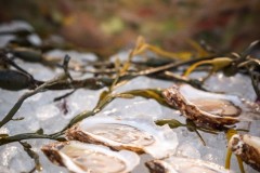 MAF-Concours-2025-AFP-029-Medium